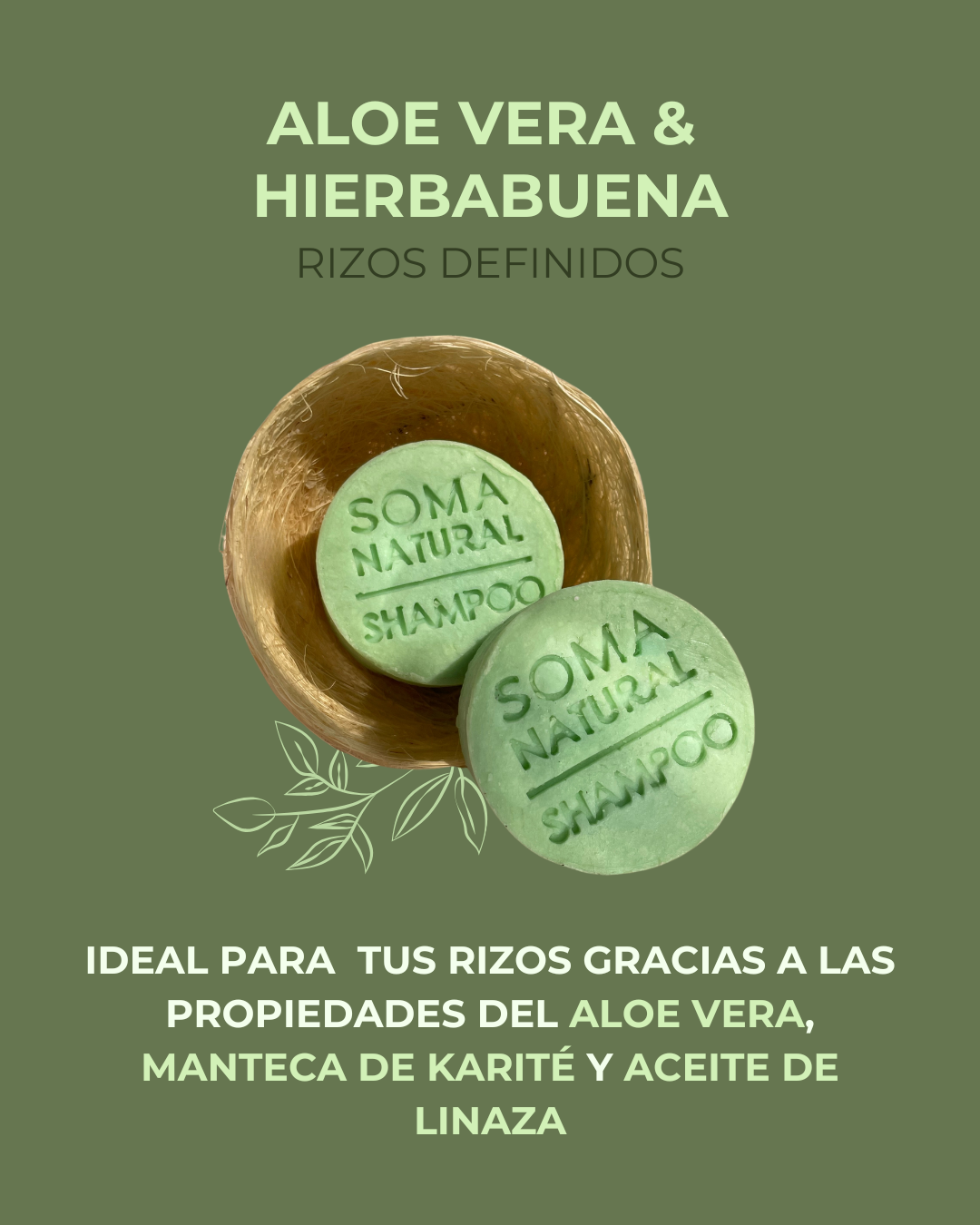 Shampoo de Aloe Vera & Hierbabuena - Cabello Rizado