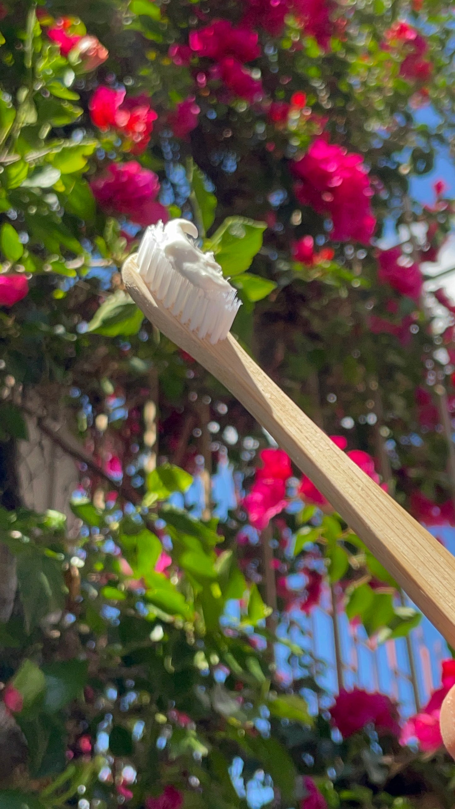 Pasta Dental de Menta