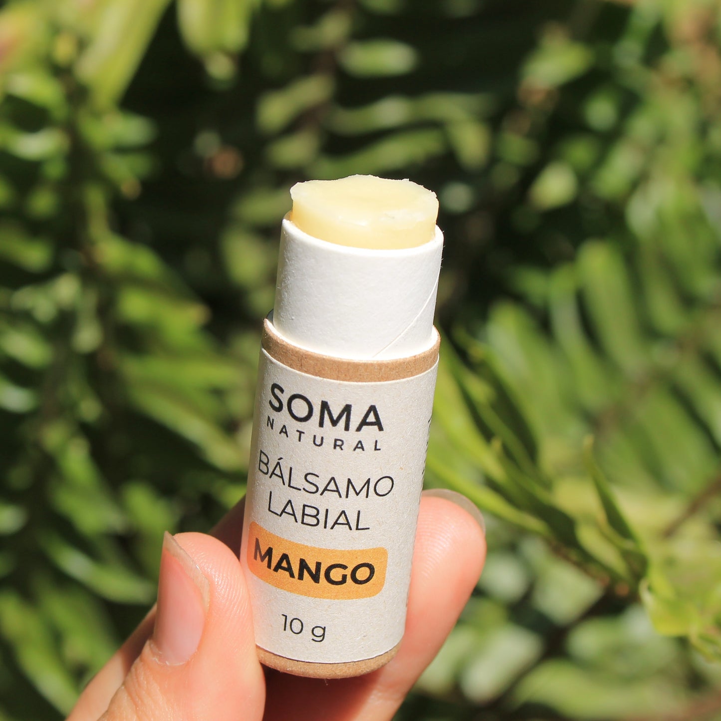 Bálsamo Labial de Mango